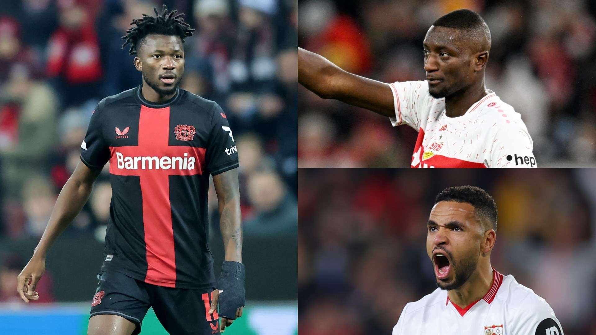 现出的沉着 现出的沉着