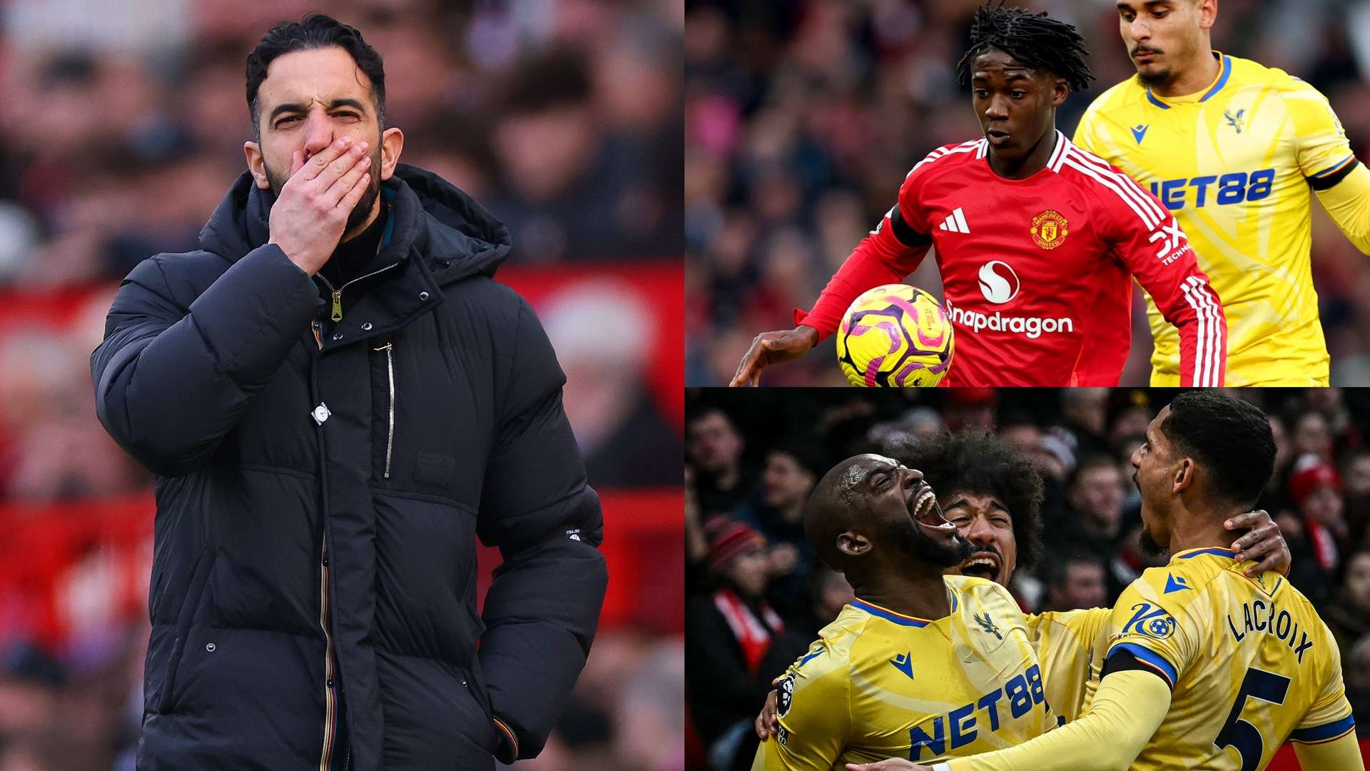 意为年轻球 意为年轻球